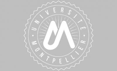 Logo et charte graphique - Montpellier Management
