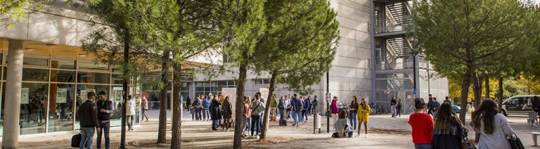 Montpellier Management, véritable référence en Management