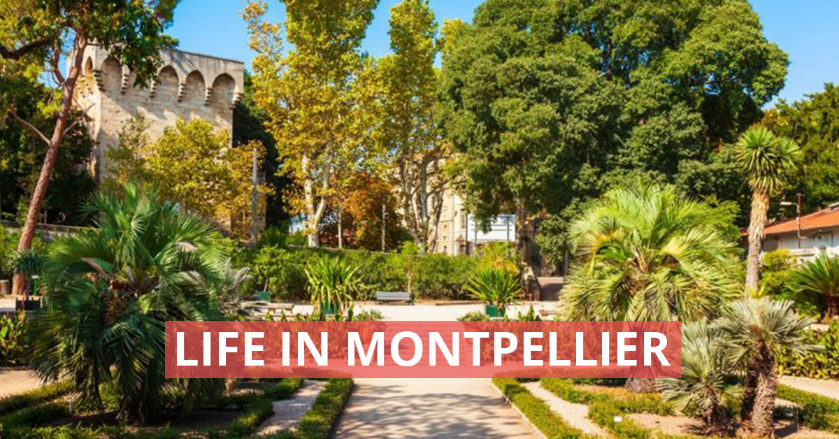 Life in Montpellier